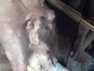 Strumpet eğitim ben: ücretsiz mobile fahişeler xxx film vid 60