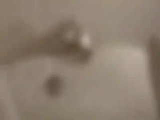 두 그린 얼굴 병아리 혹, 손가락 과 핥기 각각의 다른