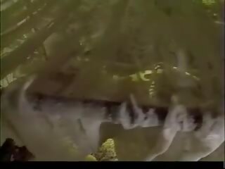 난리 1995 완전한 영화: 레트로 레트로 포르노를 위업. 출격 layd