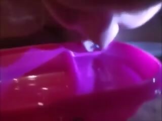 小便 上の 私の ペット 犬 shortly 後に feeding 彼女の actting のような a 犬