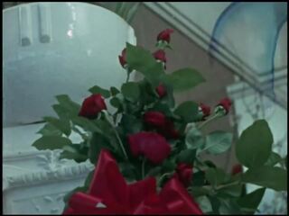 玫瑰 為 zingara 1970 - mkx: 美國人 復古 成人 視頻
