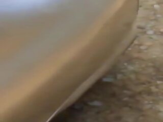 Tudung scopata in auto