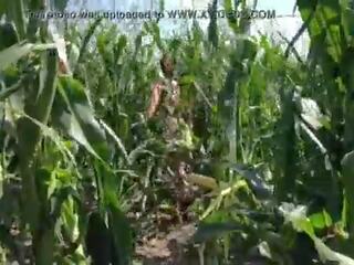 Riley jacobs spelen in corn veld