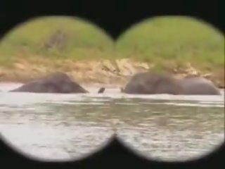 Parkas kruger: nemokamai kruger parkas xxx filmas filmas fa