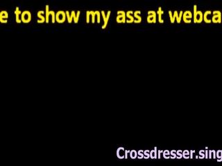 Cdzinha 매력적인 travesti 쉬 메일 팬티 바보 cd 십자가