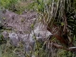 Magnificent для trot блондин трахкав на природа дика waterfall