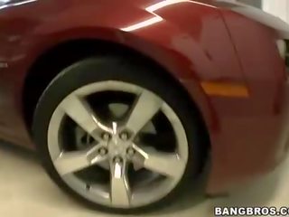 Provocative cunts are delighted during wild gang bang